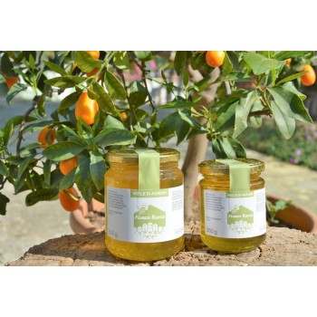 Organic Citrus Honey