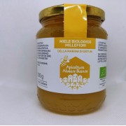 Organic Spring Wildflower Honey